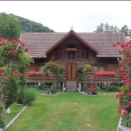 Отель Casa Bunicii Costesti  Экстерьер фото