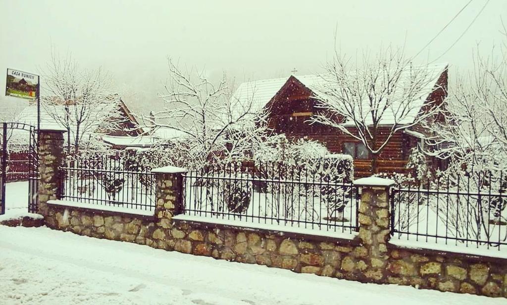 Отель Casa Bunicii Costesti  Экстерьер фото